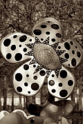 Wall_Art_Alphabet_Photography_Art_ 1753